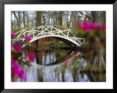 Magnolia Gardens, Charleston, Sc by Priscilla Connell Pricing Limited Edition Print image