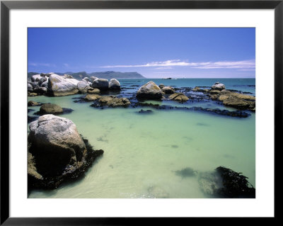 Boulders Beach, Simon's Town, South Africa by Walter Bibikow Pricing Limited Edition Print image