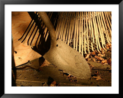 Old Garden Tools In Morning Light by Stephen St. John Pricing Limited Edition Print image