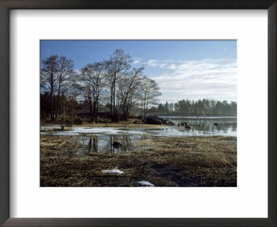 Spring Morning, South Finland by Heikki Nikki Pricing Limited Edition Print image