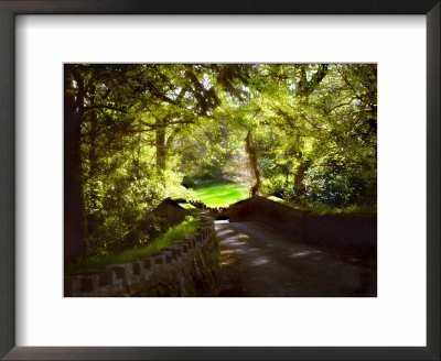 Devonshire Idyll by Jody Miller Pricing Limited Edition Print image