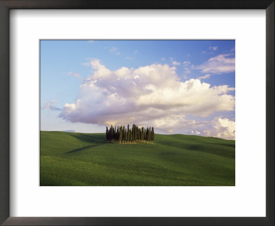 Countryside Near Montalcino, Siena Area, Tuscany, Italy, Europe by Nico Tondini Pricing Limited Edition Print image