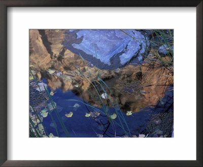 Reflection Of Zion Canyon In Zion National Park, Utah, Usa by Diane Johnson Pricing Limited Edition Print image