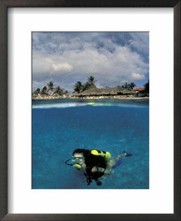 Woman Scuba Diving, Bonaire, Caribbean by Amos Nachoum Pricing Limited Edition Print image