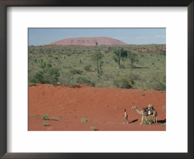 Camels In Central Desert, Australia by Claire Leimbach Pricing Limited Edition Print image
