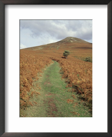 The Sugar Loaf, In Autumn, Black Mountains Near Abergavenny, Monmouthshire, Wales by David Hunter Pricing Limited Edition Print image
