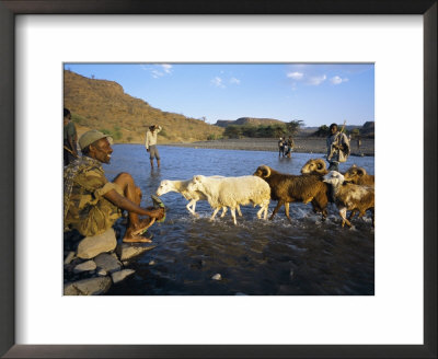 Shepherds And Flock Crossing River, Terari Wenz, Wollo Region, Ethiopia, Africa by Bruno Barbier Pricing Limited Edition Print image