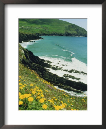 Irish Summer Colours, Slea Head, Dingle Peninsula, County Kerry, Republic Of Ireland (Eire) by D H Webster Pricing Limited Edition Print image