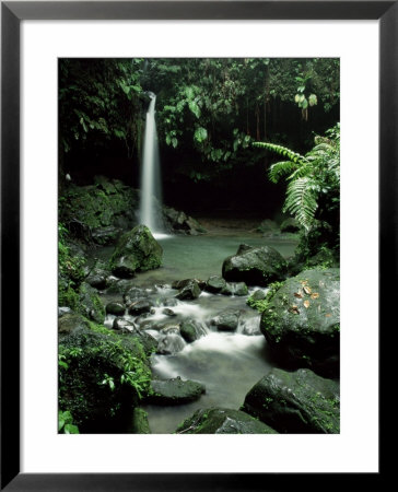 Waterfall Flowing Into The Emerald Pool, Dominica, West Indies, Central America by James Gritz Pricing Limited Edition Print image