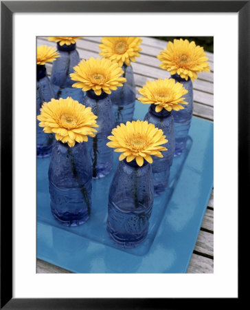 Yellow Gerberas In Blue Bottles by Elke Borkowski Pricing Limited Edition Print image