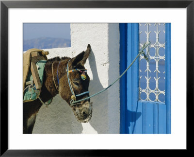 Donkey, Thira, Santorini, Cyclades Islands, Greece, Europe by Michael Short Pricing Limited Edition Print image
