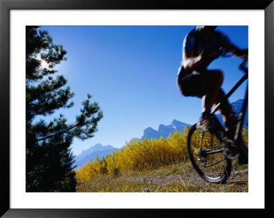 Mountain Biker In Autumn, Canmore, Canada by Philip & Karen Smith Pricing Limited Edition Print image