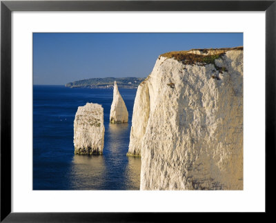 Handfast Point, Clifftop View Showing The Pinnacles, Early Morning, Studland, Dorset, England by Ruth Tomlinson Pricing Limited Edition Print image