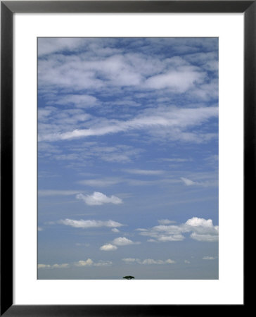 Grasslands With Lone Acacia Tree Under A Cloud-Filled Sky by Michael Melford Pricing Limited Edition Print image