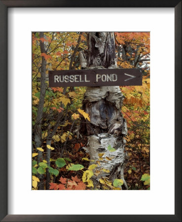Recreation Trail Signs To Russell Pond, Baxter State Park, Maine, Usa by Jerry & Marcy Monkman Pricing Limited Edition Print image