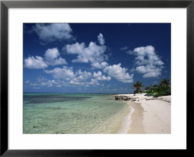 Palm-Fringed Beach, Cayman Kai, Grand Cayman, Cayman Islands, West Indies, Central America by Ruth Tomlinson Pricing Limited Edition Print image