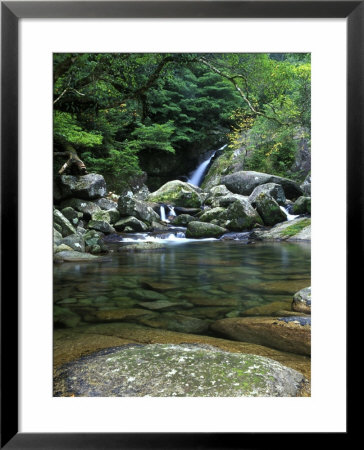 Shiratani Unsuikyo, Yakushima, Kagoshima, Japan by Rob Tilley Pricing Limited Edition Print image