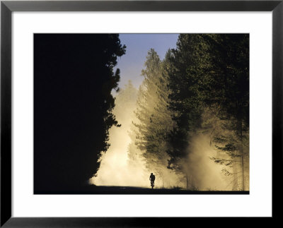 Mountain Biker On A Dusty Road, Swan Valley, Montana, Usa by Chuck Haney Pricing Limited Edition Print image