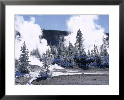 Geothermal Steam, Frosted Trees And Snow-Free Hot Ground In Norris Basin In Winter, Wyoming, Usa by Anthony Waltham Pricing Limited Edition Print image
