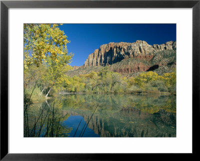 Reflections Of Trees In Fall Colours And The Cliffs Of Zion, In A Lake, Utah, Usa by Ruth Tomlinson Pricing Limited Edition Print image