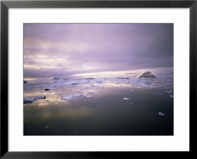 Evening Light, Antarctica, Polar Regions by Geoff Renner Pricing Limited Edition Print image