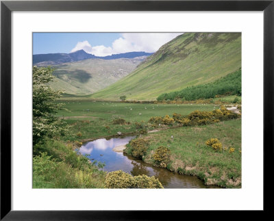 Glen Rosa, Isle Of Arran, Strathclyde, Scotland, United Kingdom by Roy Rainford Pricing Limited Edition Print image