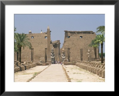 Avenue Of Sphinxes Looking Towards Statues Of Ramses Ii, Luxor Temple, Luxor, Thebes, Egypt by Gavin Hellier Pricing Limited Edition Print image