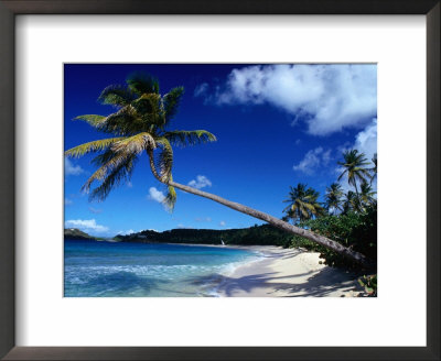 Palm Trees On Galley Beach In Leeward Islands, Antigua & Barbuda by Wayne Walton Pricing Limited Edition Print image