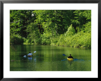 Kayakers Paddle In The Headwaters Of The Susquehanna River by Raymond Gehman Pricing Limited Edition Print image