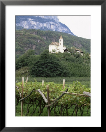Church And Vines At Missiano, Caldero Wine District, Bolzano, Alto Adige, Italy by Michael Newton Pricing Limited Edition Print image