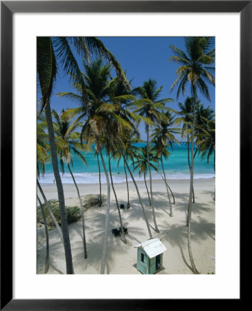 Bottom Bay Beach, East Coast, Barbados, Windward Islands, West Indies, Caribbean, Central America by Sylvain Grandadam Pricing Limited Edition Print image