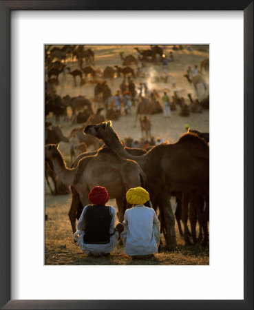 Boys And Camels At Pushkar Camel Fair, Pushkar, Rajasthan, India by Stephen Saks Pricing Limited Edition Print image