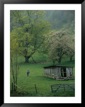 Cyclist Rides Past An Old Barn And Fruit Trees In A Spring Rain by Skip Brown Pricing Limited Edition Print image