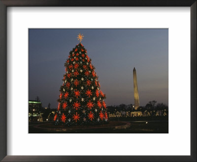 The National Christmas Tree With The Washington Monument In Back by Karen Kasmauski Pricing Limited Edition Print image