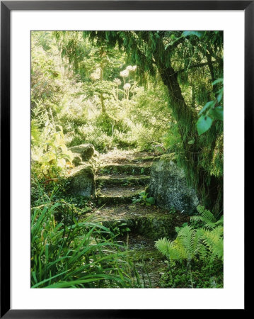 Moss-Covered Stone Steps Through Shady Overgrown Garden, Autumn Sherborne Garden, Somerset by Mark Bolton Pricing Limited Edition Print image