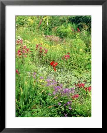 Wild Garden Pond by Mark Bolton Pricing Limited Edition Print image