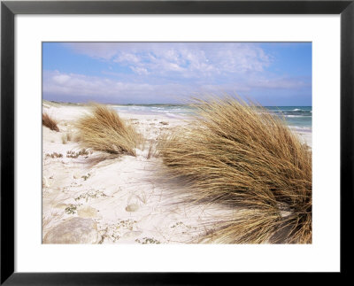 Bales Beach, Seal Bay Con. Park, Kangaroo Island, South Australia, Australia by Neale Clarke Pricing Limited Edition Print image