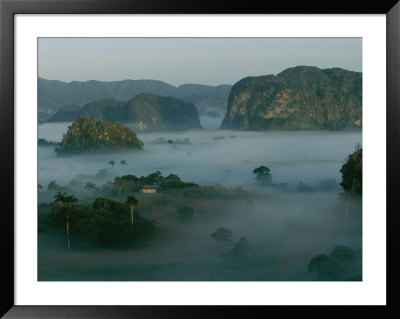 Fog Surrounds Mogotes In The Valle De Vinales At Sunrise by Steve Winter Pricing Limited Edition Print image