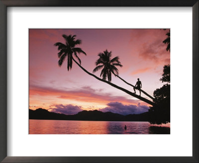 Man, Palm Trees, And Bather Silhouetted At Sunrise by Mark Cosslett Pricing Limited Edition Print image