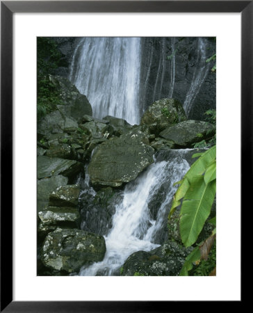 A Waterfall In El Yunque, Puerto Rico by Taylor S. Kennedy Pricing Limited Edition Print image