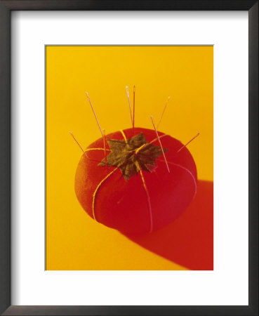 Pin Cushion by Fogstock Llc Pricing Limited Edition Print image