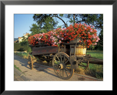 Alsace, France by Nik Wheeler Pricing Limited Edition Print image