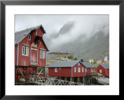 Seagulls Nesting On A Warehouse, Moskenesoya, Lofoten Islands, Norway, Scandinavia by Gary Cook Pricing Limited Edition Print image