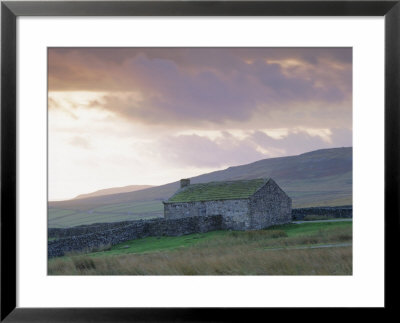 Farm Building, Swaledale, Yorkshire Dales National Park, Yorkshire, England, Uk, Europe by Mark Mawson Pricing Limited Edition Print image