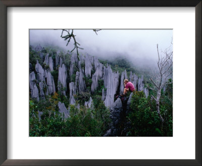 Person Taking Photograph In The Limestone Forest, Gunung Mulu National Park, Malaysia by Mark Daffey Pricing Limited Edition Print image
