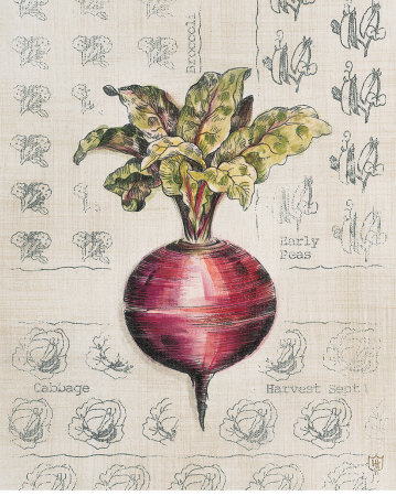 Vintage Linen Beet by Lauren Hamilton Pricing Limited Edition Print image