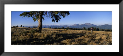 Mountain Biking On The Colorado Trail by Bill Hatcher Pricing Limited Edition Print image