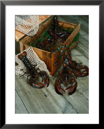 Lobsters by Martin Fox Pricing Limited Edition Print image