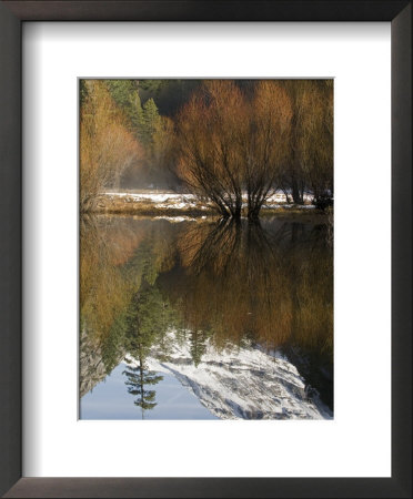 Reflection Of Fall Trees In Mirror Lake, Yosemite, California by Rich Reid Pricing Limited Edition Print image