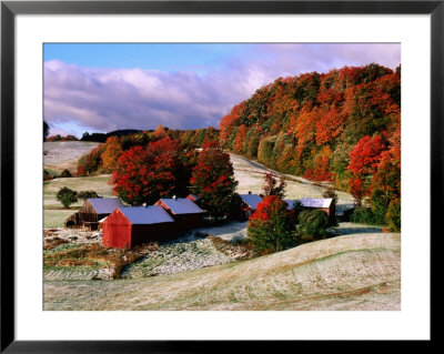 Trees In Autumn At Jenne Farm With Dusting Of Snow, South Woodstock, Woodstock, Vermont by John Elk Iii Pricing Limited Edition Print image